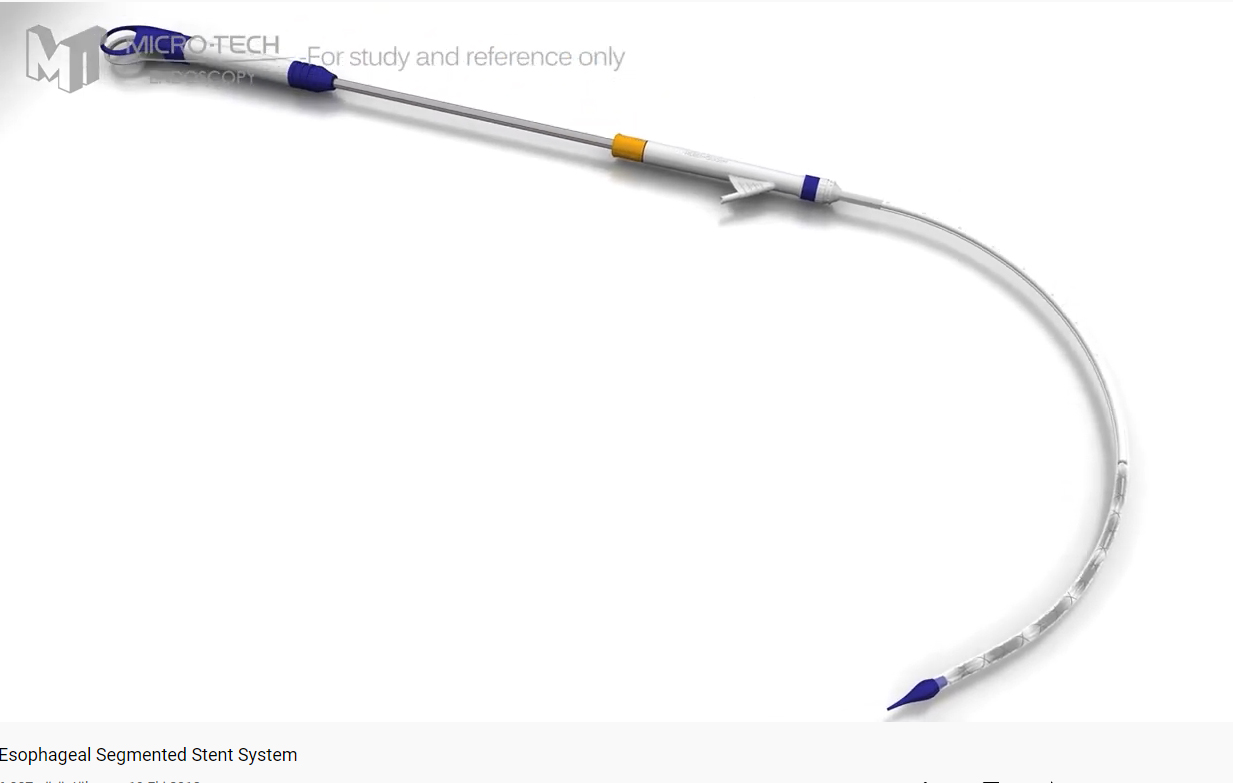 Introduction of EUS-FNB and EUS-FNA Needles